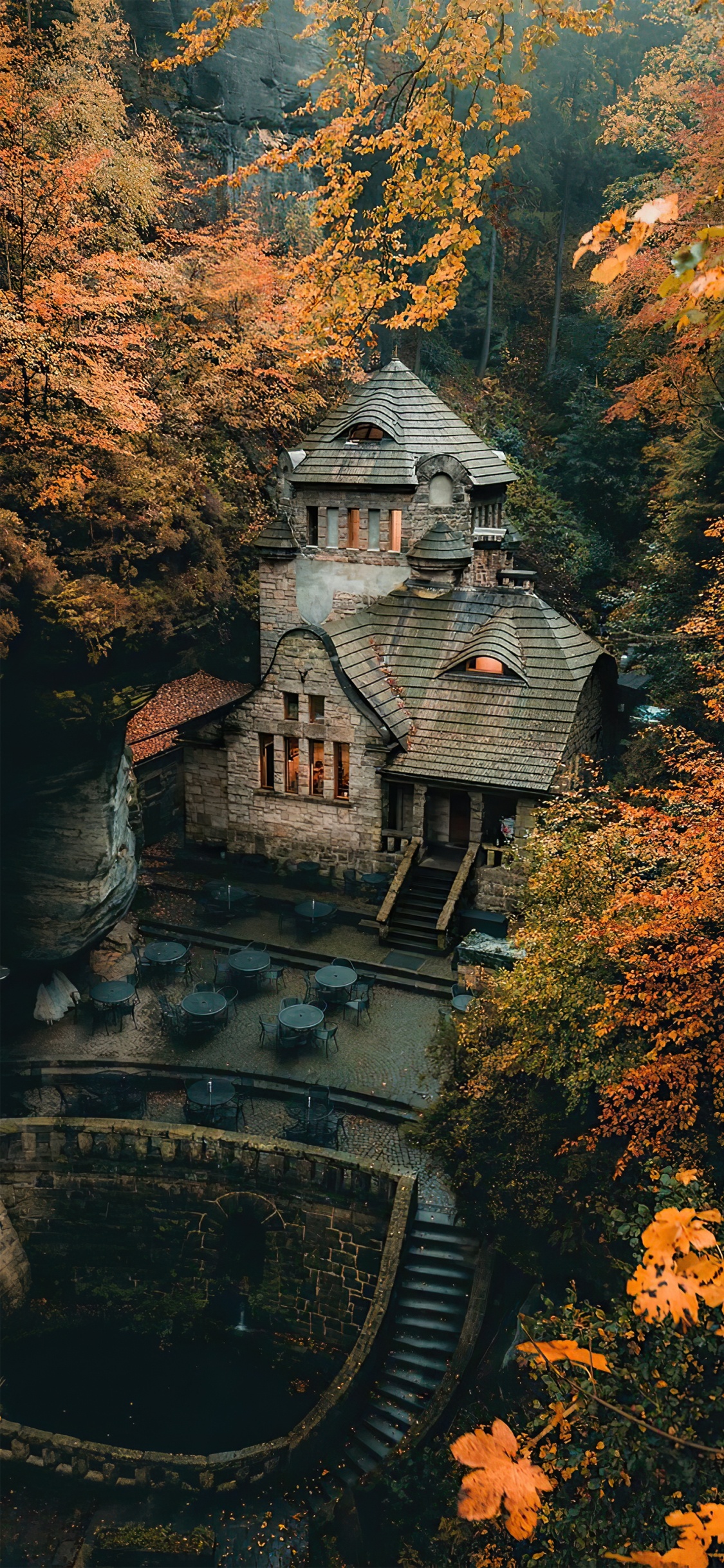 Building, World, Window, Leaf, Natural Landscape. Wallpaper in 1125x2436 Resolution