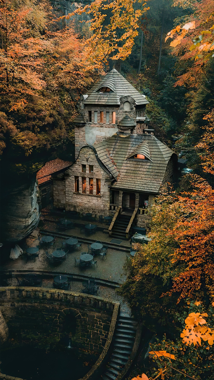 Gebäude, Fenster, Blatt, Naturlandschaft, Holz. Wallpaper in 750x1334 Resolution