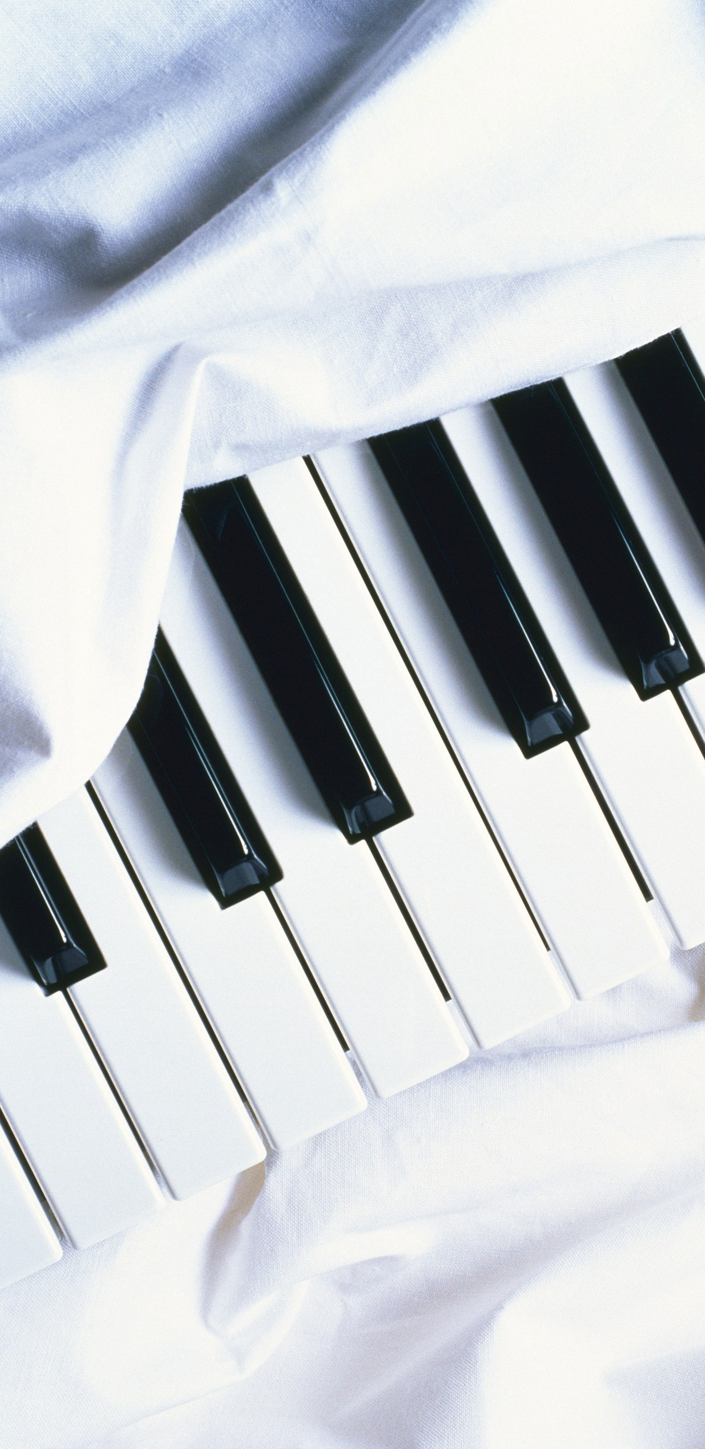 Piano, Clavier, Clavier Musical, Instrument de Musique, L'électronique de L'instrument. Wallpaper in 1440x2960 Resolution