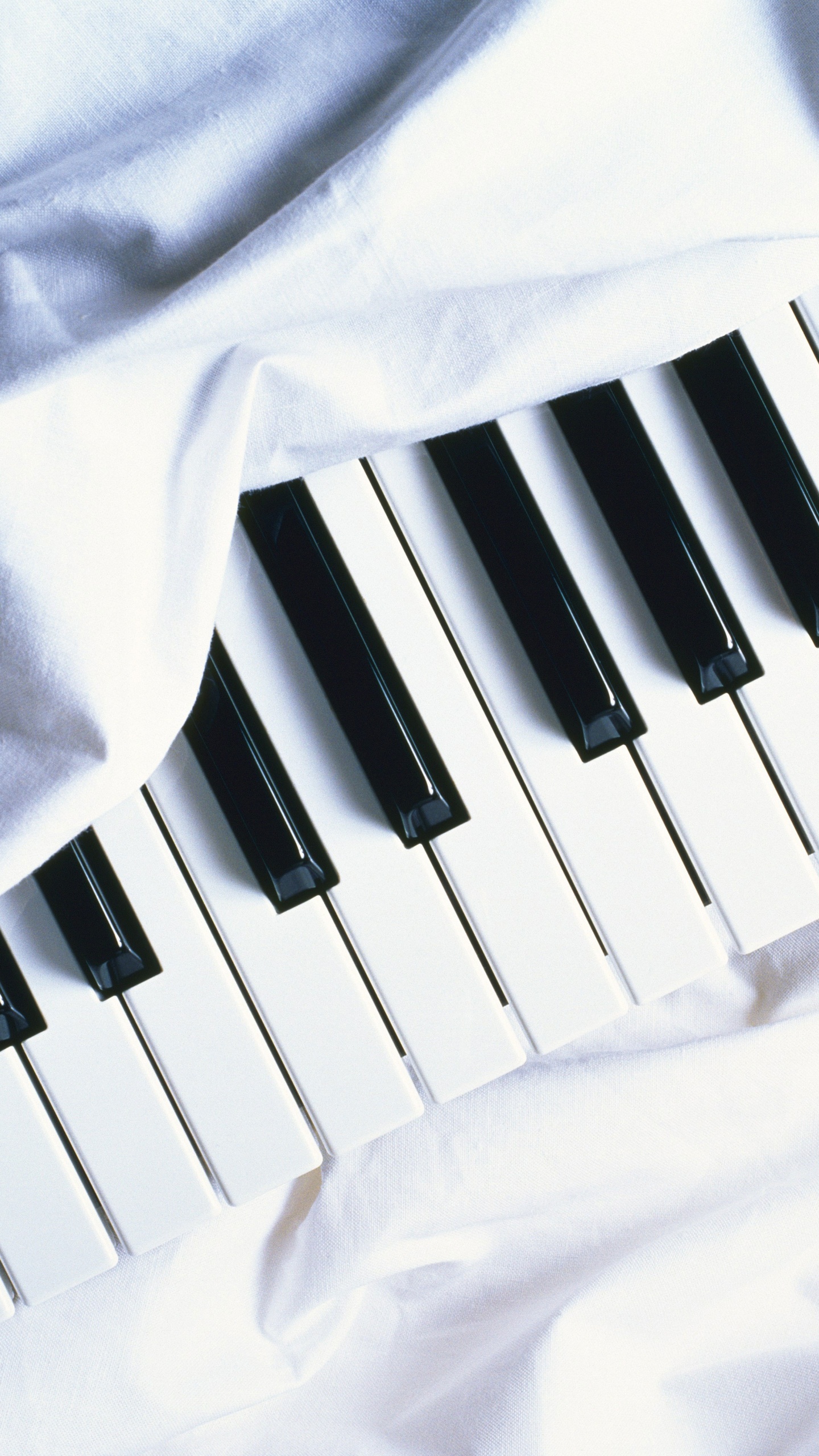 Piano, Keyboard, Musical Keyboard, Musical Instrument, Electronic Instrument. Wallpaper in 1440x2560 Resolution