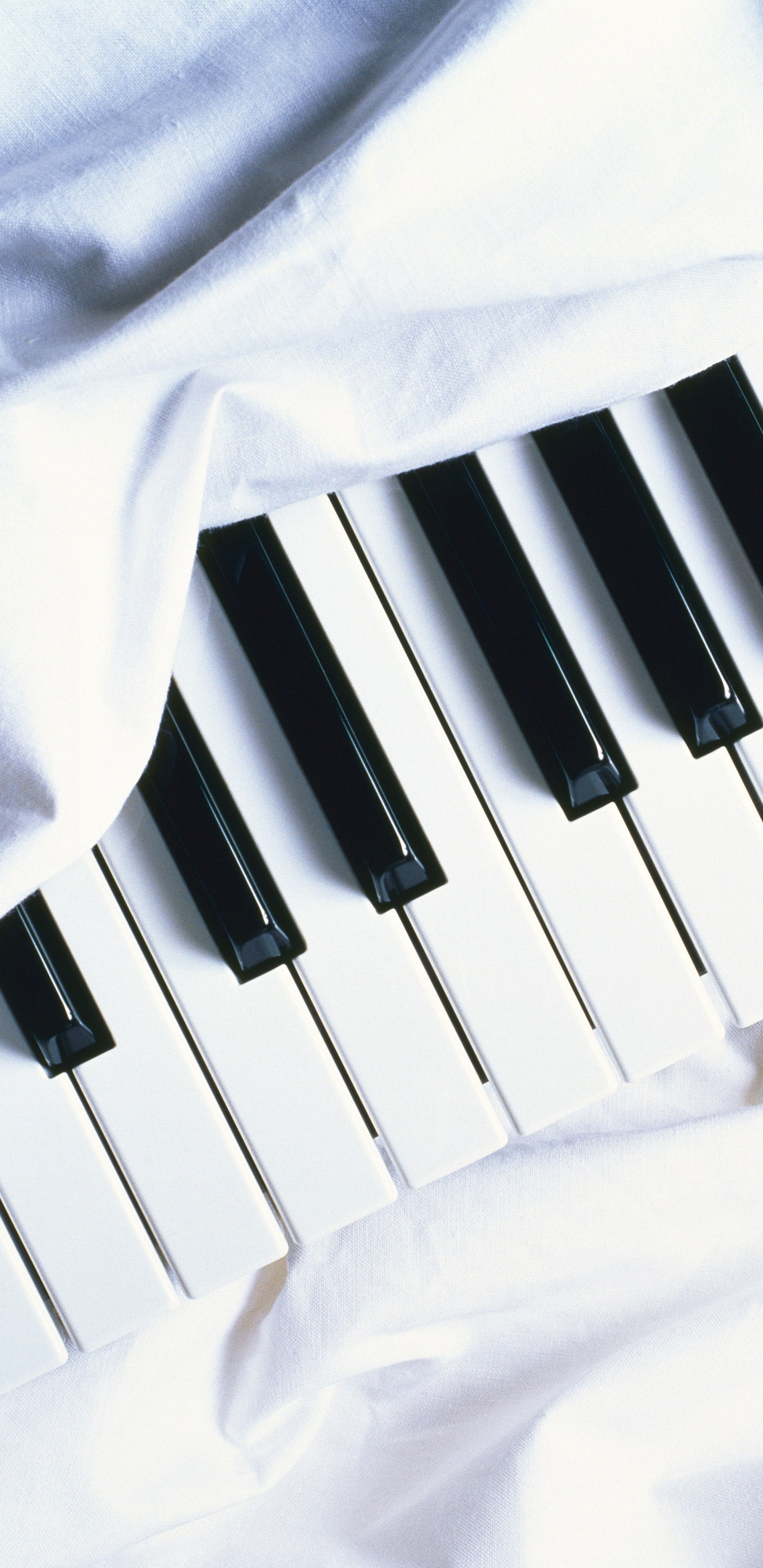 Piano, Keyboard, Musical Keyboard, Musical Instrument, Electronic Instrument. Wallpaper in 1440x2960 Resolution