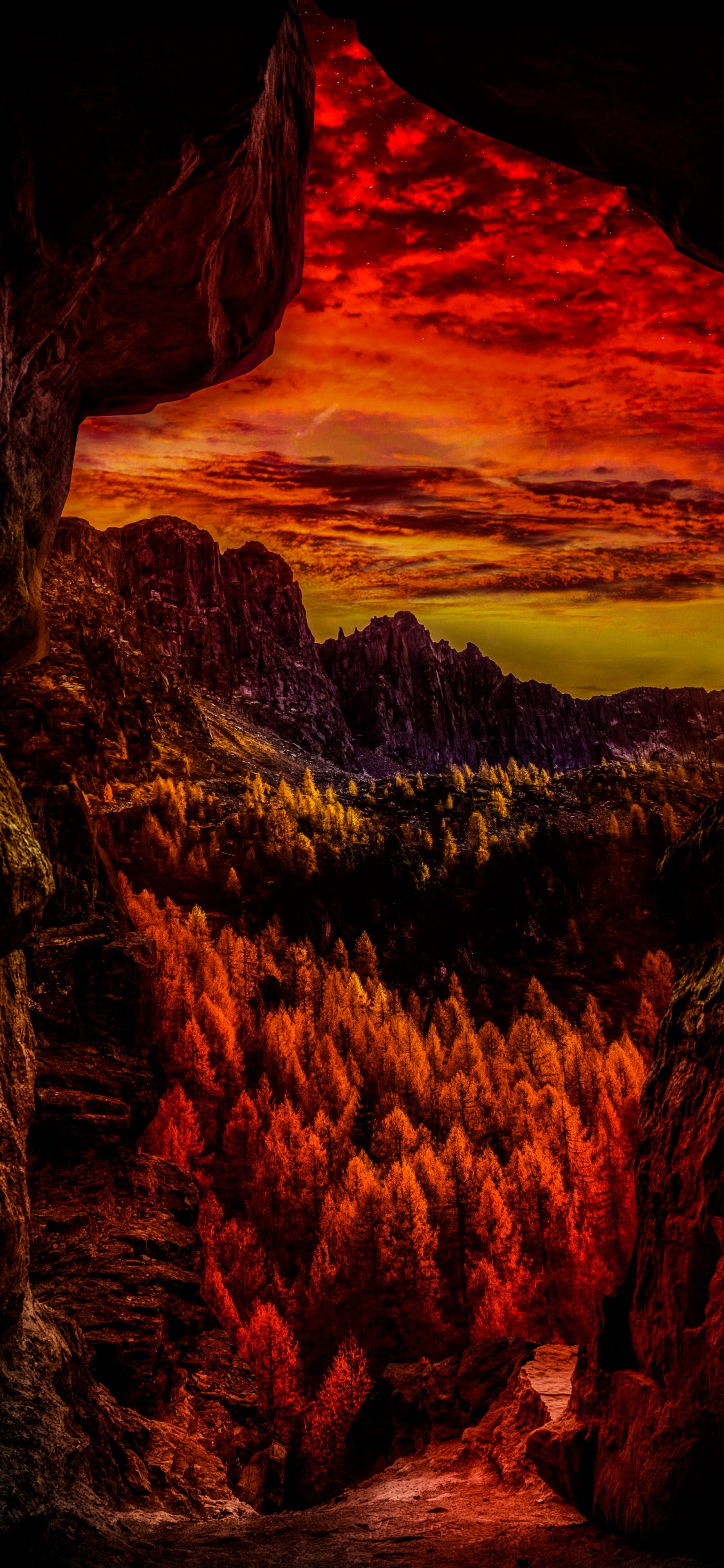 性质, 生态区, 光, 自然景观, 橙色 壁纸 1125x2436 允许