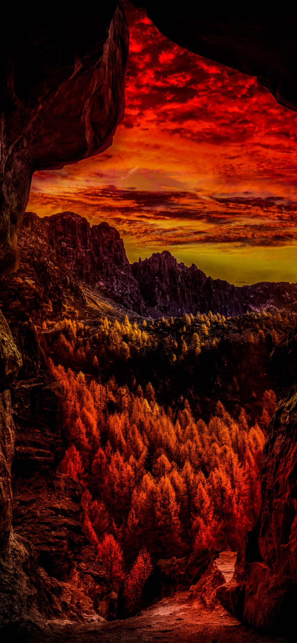 性质, 生态区, 光, 自然景观, 橙色 壁纸 1242x2688 允许