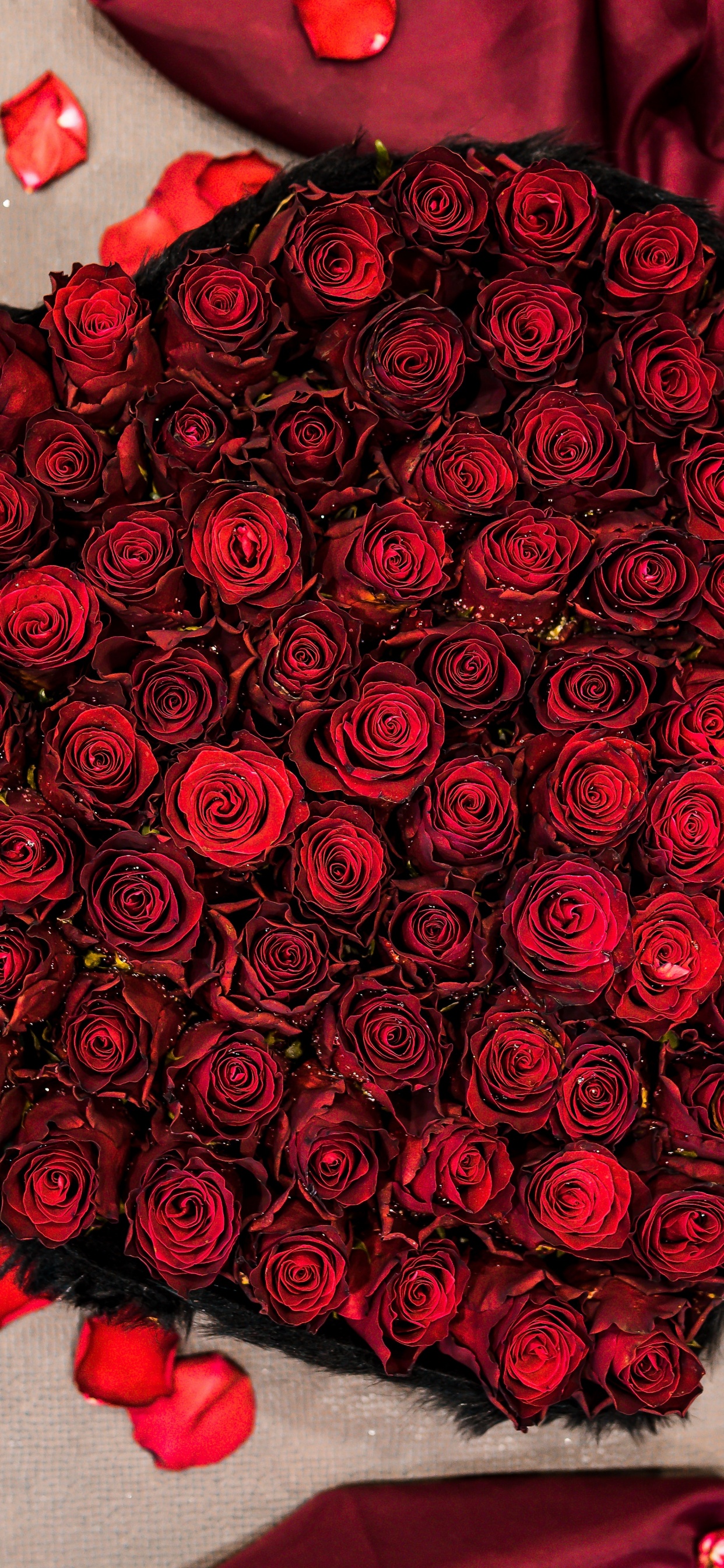 Red Rose Bouquet on White and Red Textile. Wallpaper in 1242x2688 Resolution