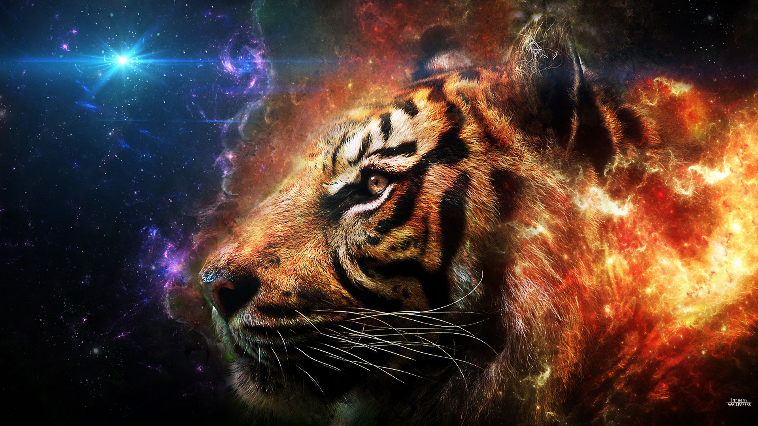 Tiger Dark Animal Love Nature iPhone Wallpapers Free Download