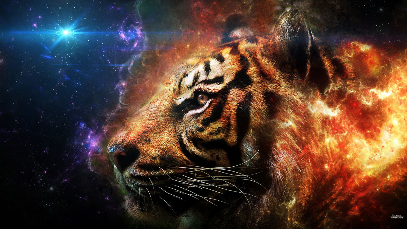 Tigre Brun et Noir Dans L'eau. Wallpaper in 1366x768 Resolution