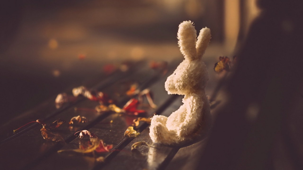 Petal, Gesture, Cloud, Cooking, Dish. Wallpaper in 1280x720 Resolution