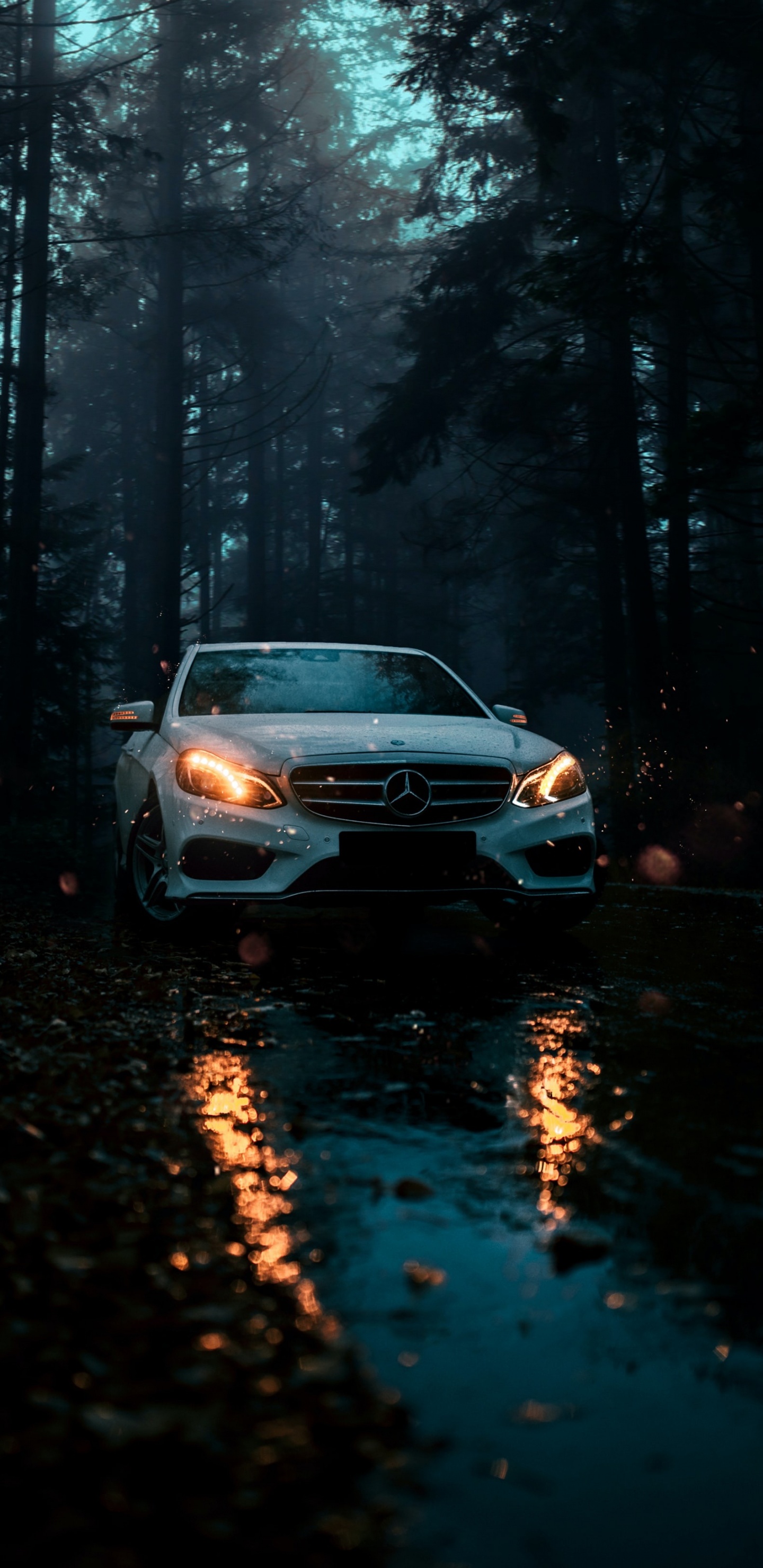 Mercedes Benz, Voiture de Luxe, Jeep, Nissan Skyline Gt-r, Mercedes-Benz W201. Wallpaper in 1440x2960 Resolution