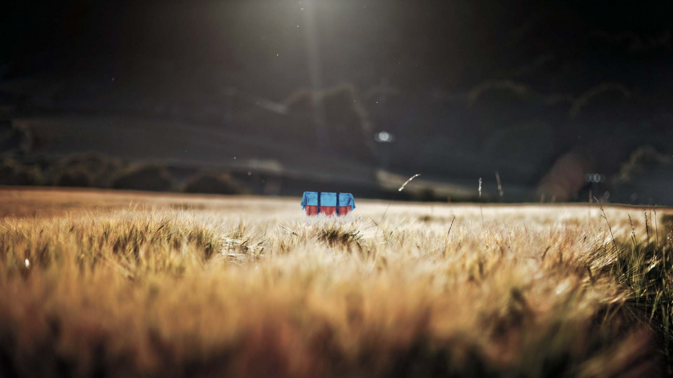 Cloud, Field, Grass Family, Grass, Atmosphere. Wallpaper in 1366x768 Resolution