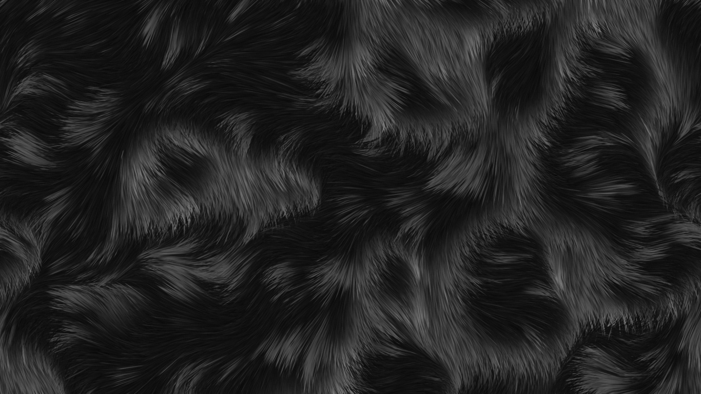 Schwarz-weißes Zebramuster. Wallpaper in 1366x768 Resolution