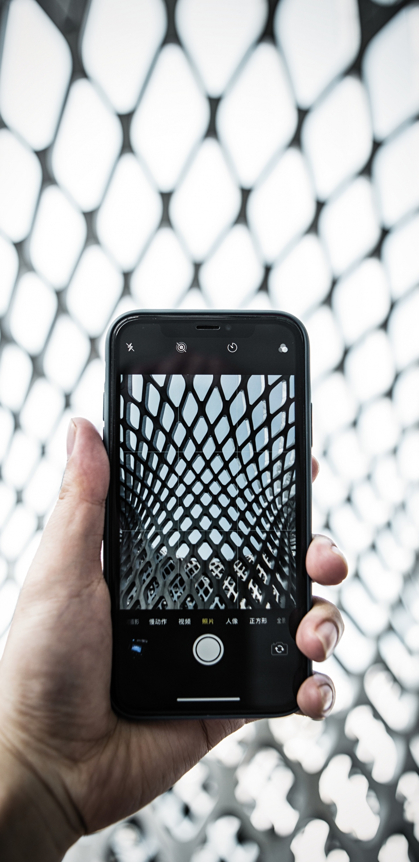 Personne Tenant un Iphone 5 Noir. Wallpaper in 1440x2960 Resolution