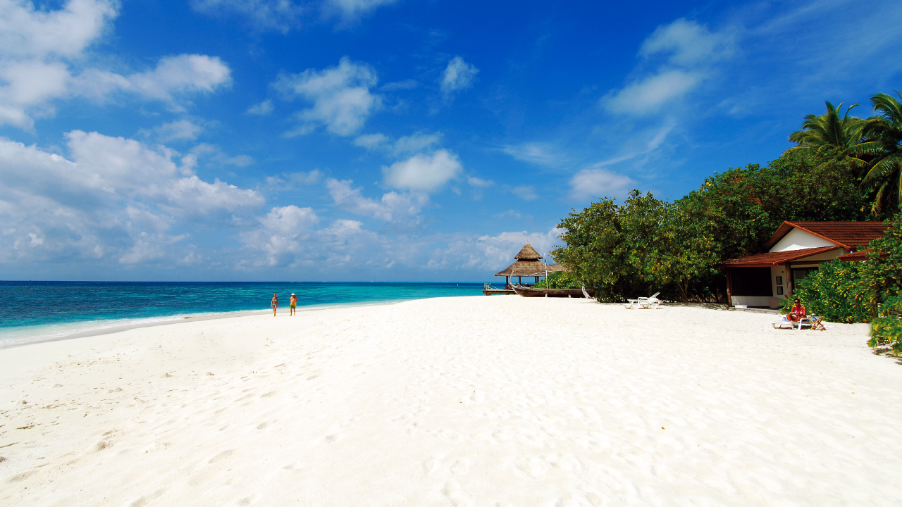 Les Gens Sur la Plage Pendant la Journée. Wallpaper in 1280x720 Resolution