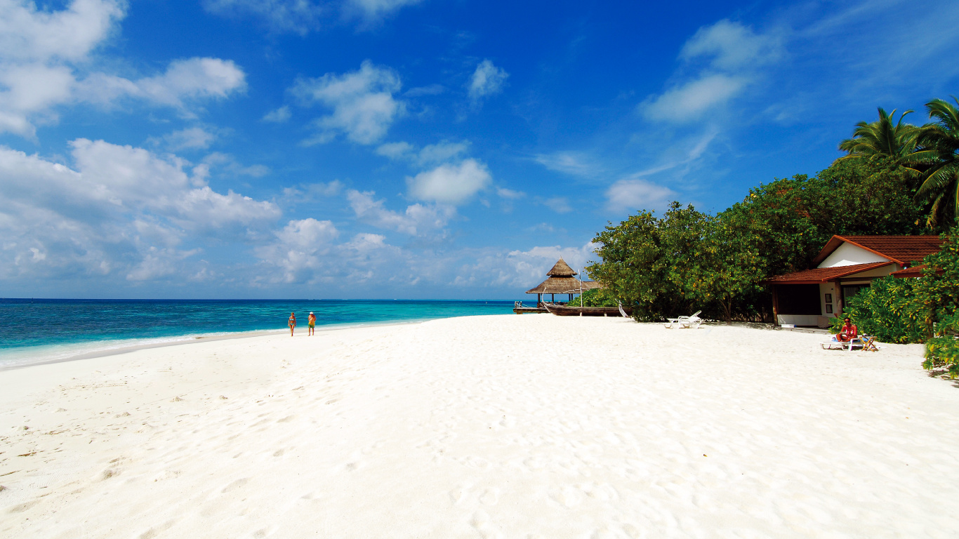 Les Gens Sur la Plage Pendant la Journée. Wallpaper in 1366x768 Resolution