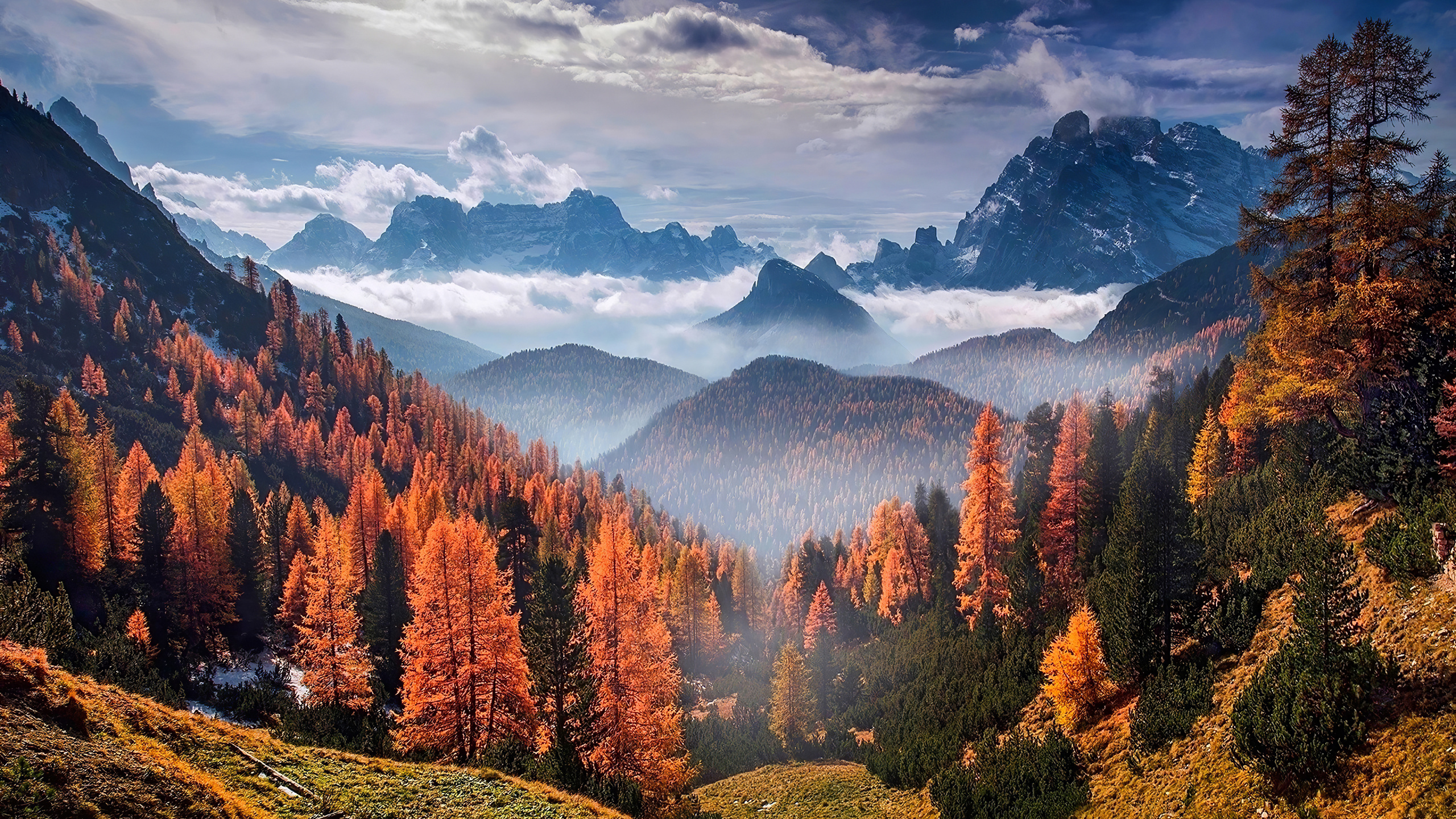 Nature, Mountainous Landforms, Mountain, Natural Landscape, Tree. Wallpaper in 2560x1440 Resolution