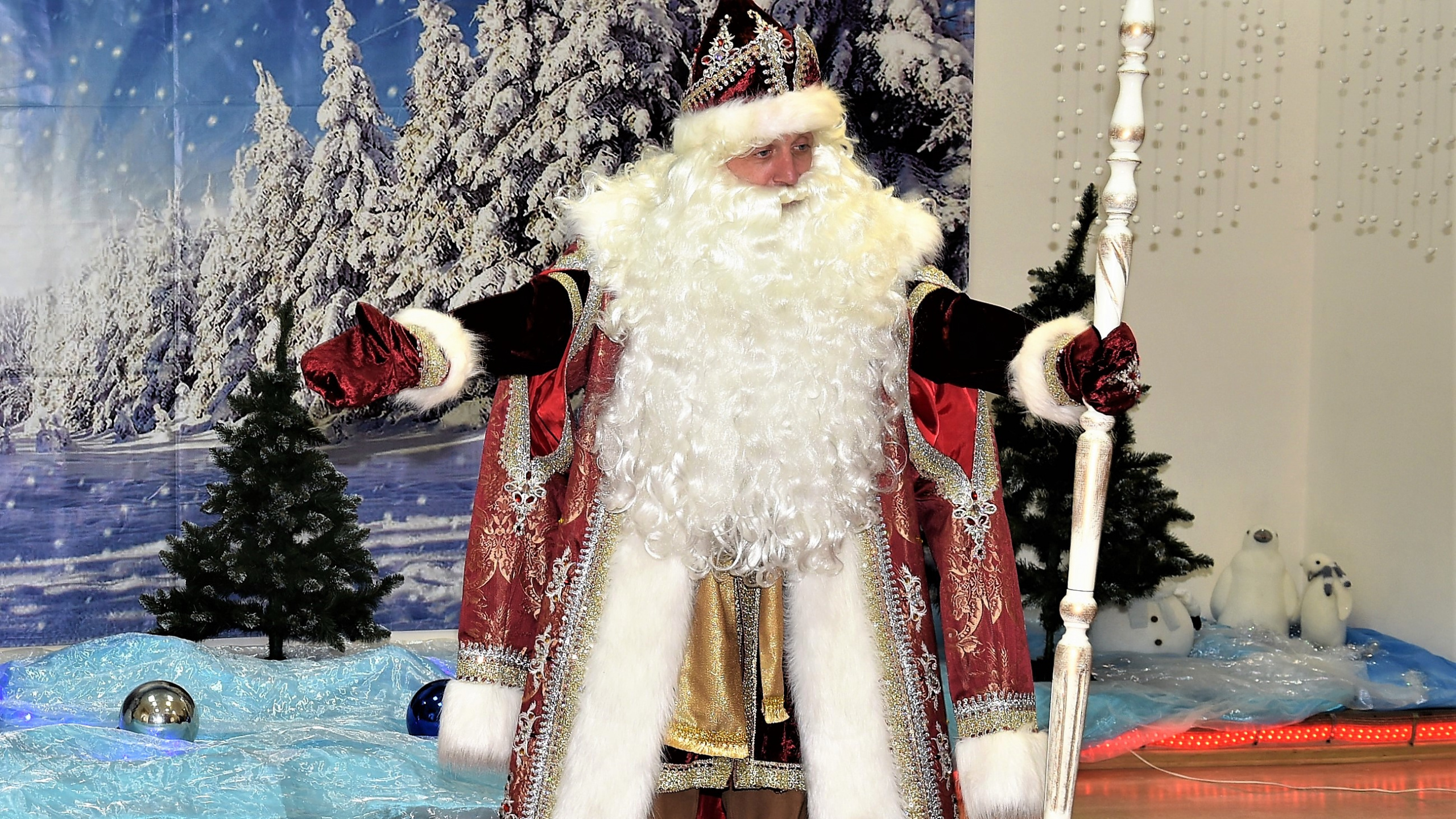 Tradition, Ded Moroz, Weihnachten, Weihnachtsmann, Weihnachtsbaum. Wallpaper in 2560x1440 Resolution