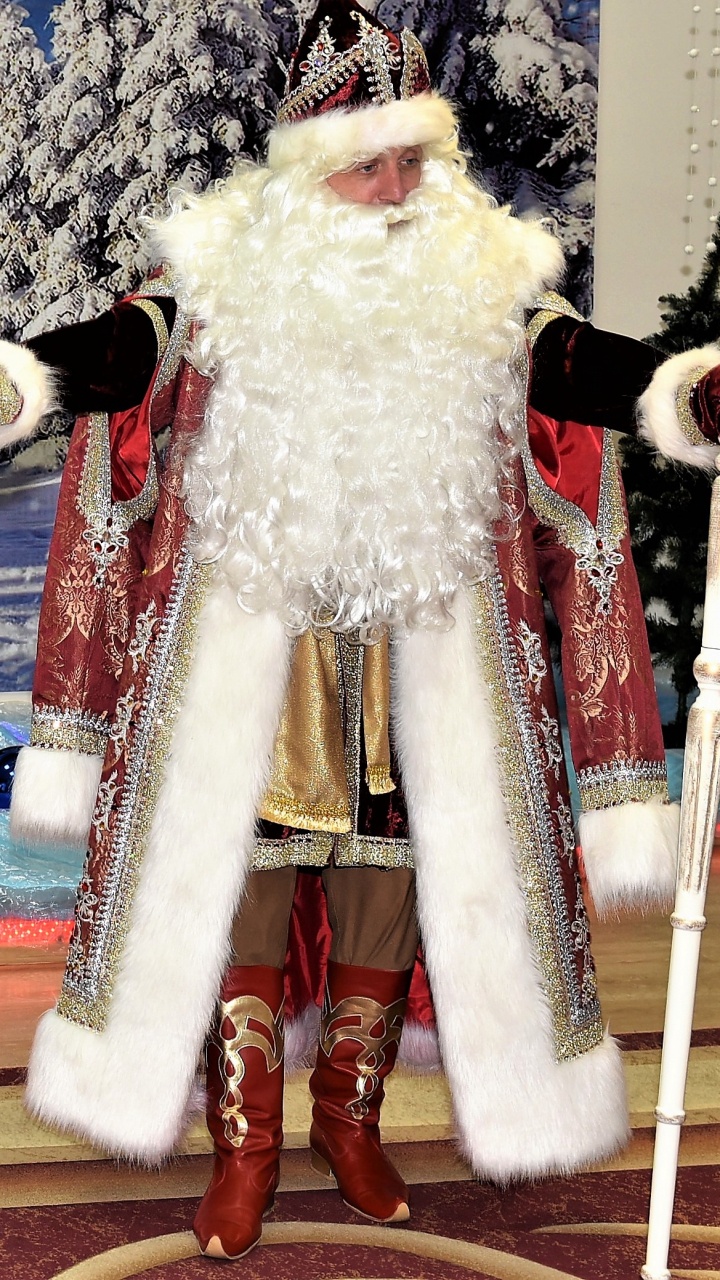 Tradition, Ded Moroz, Weihnachten, Weihnachtsmann, Weihnachtsbaum. Wallpaper in 720x1280 Resolution