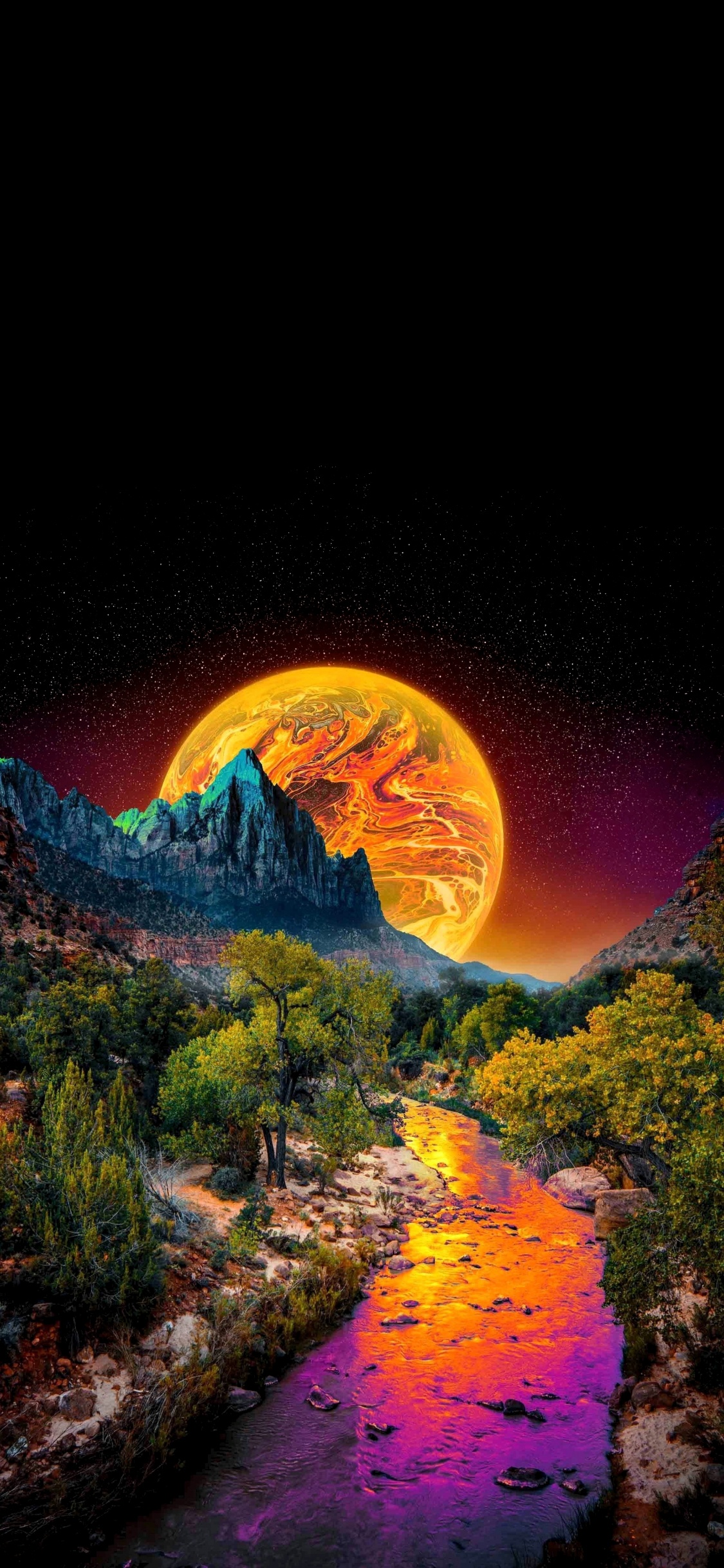 Nature de la Savane Ga, Nature, Parc D'état de L'île de Skidaway, Savannah, Environnement Naturel. Wallpaper in 1125x2436 Resolution