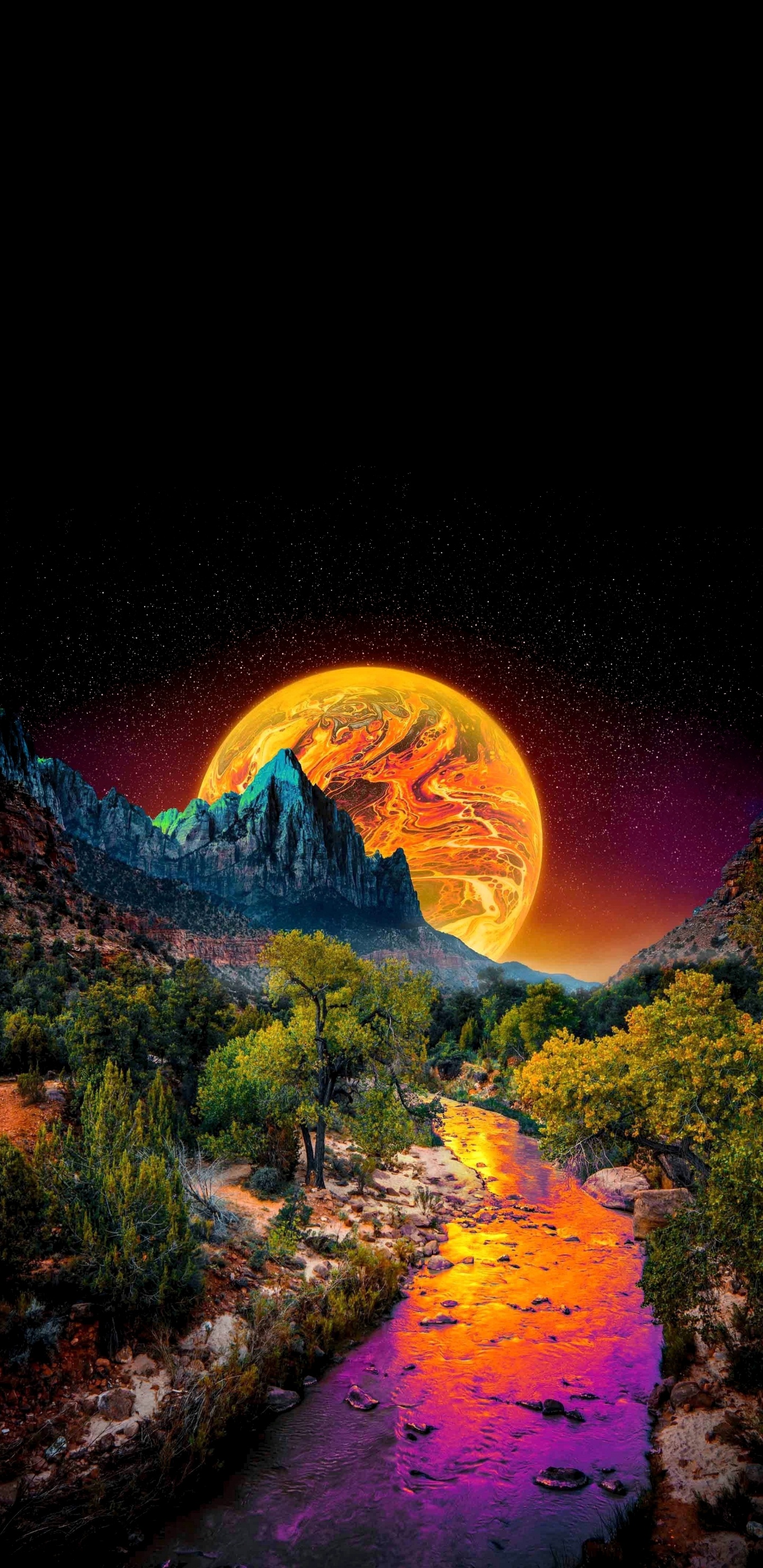 Savannah ga Natur, Natur, Skidaway Island State Park, Natürlichen Umgebung, Biodiversität. Wallpaper in 1440x2960 Resolution