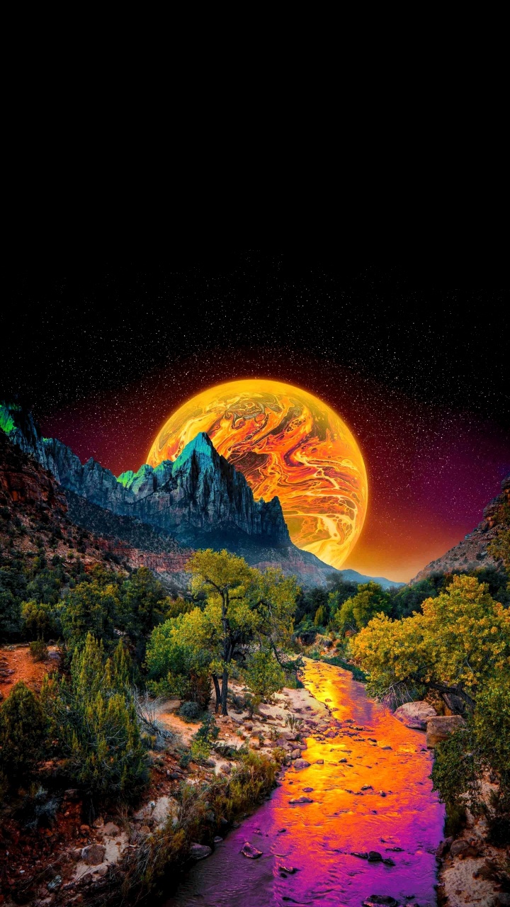 Savannah ga Nature, Nature, Skidaway Island State Park, Savannah, Just. Wallpaper in 720x1280 Resolution