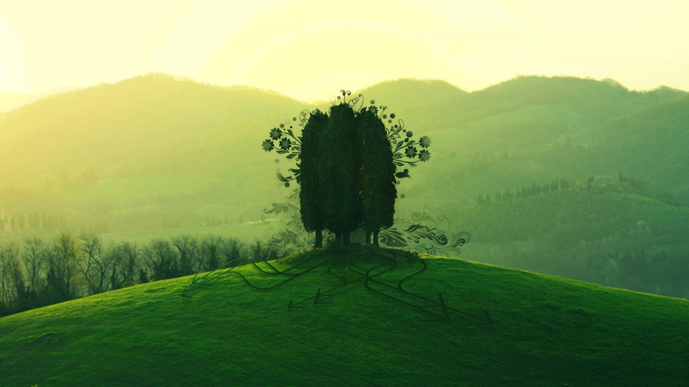 Grüner Baum Auf Grüner Wiese Tagsüber. Wallpaper in 1366x768 Resolution