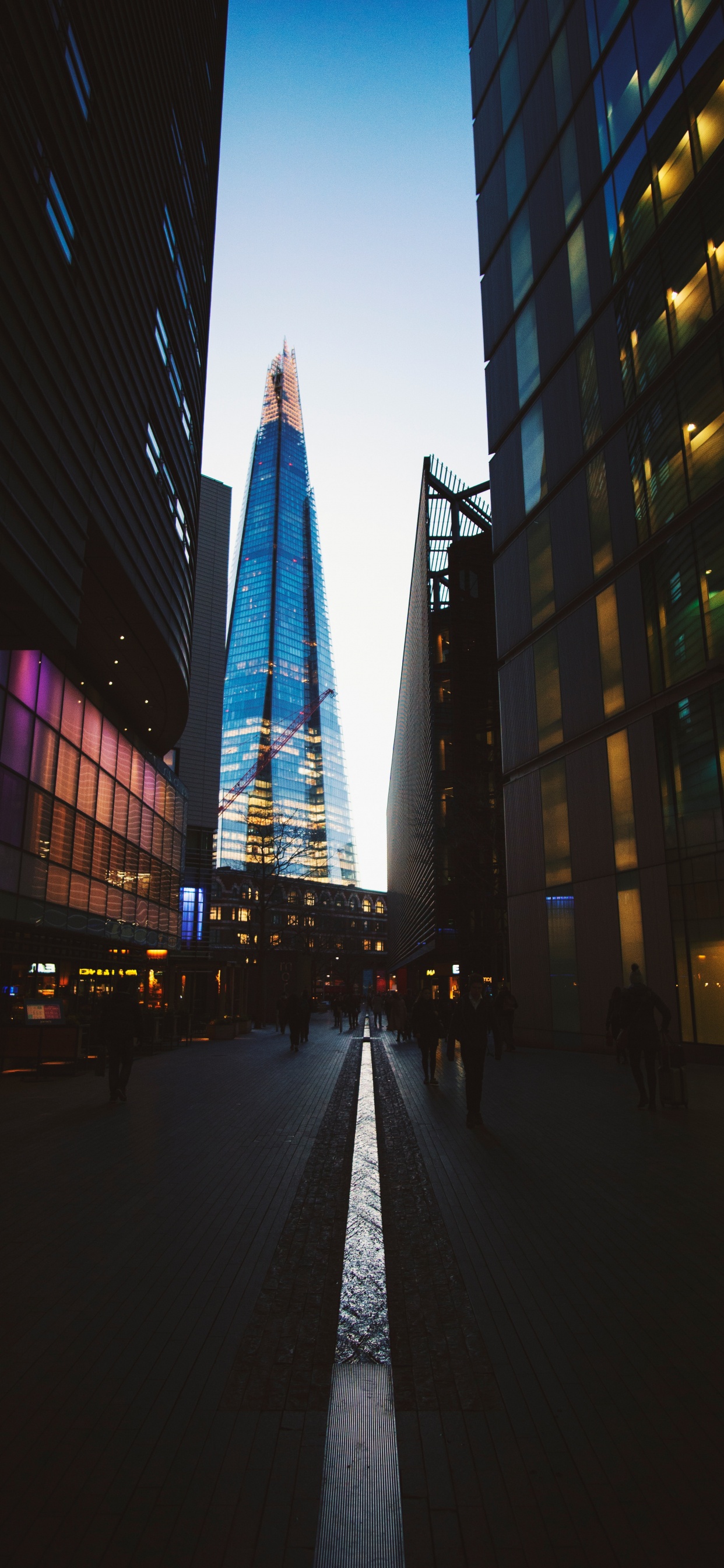 People Walking on Street Near High Rise Building During Night Time. Wallpaper in 1242x2688 Resolution