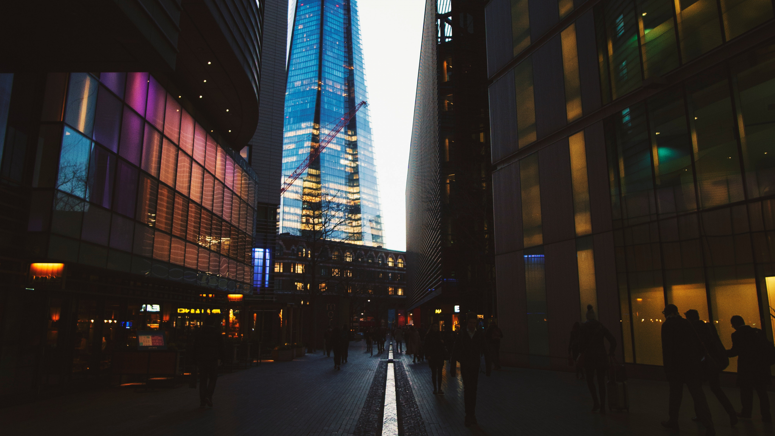 People Walking on Street Near High Rise Building During Night Time. Wallpaper in 2560x1440 Resolution