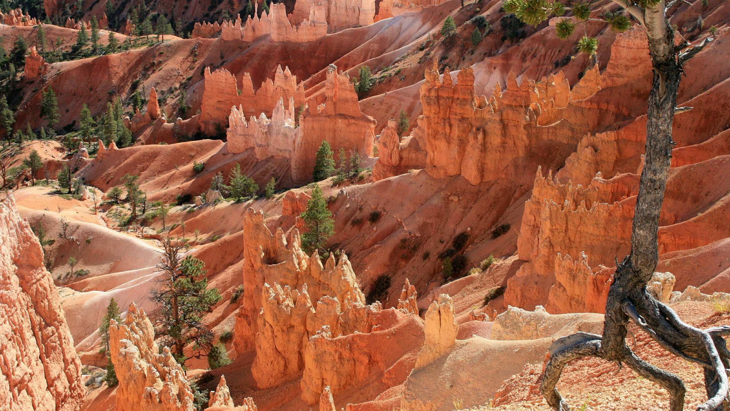 Brown Rock Formation During Daytime. Wallpaper in 2560x1440 Resolution