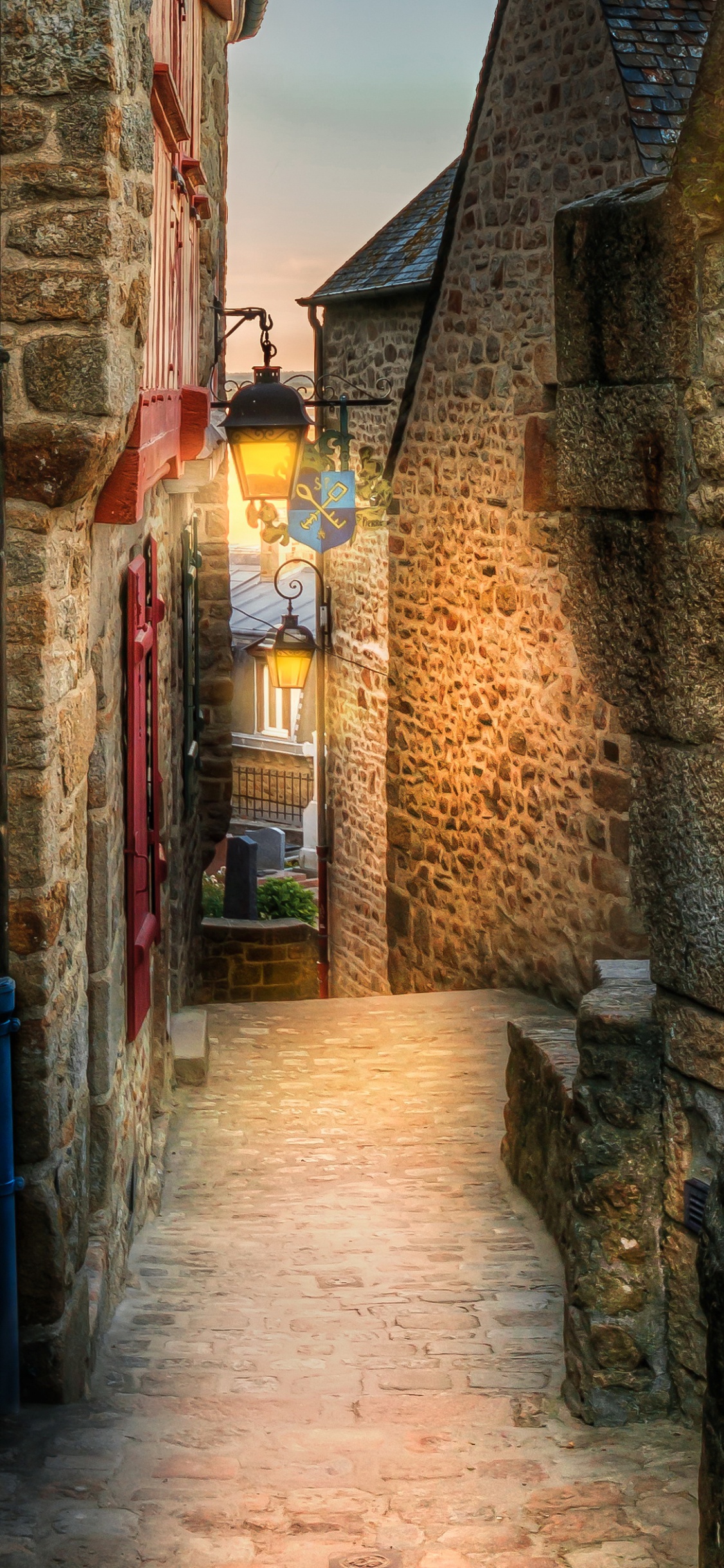 Mur de Briques Brunes Avec Porte Verte. Wallpaper in 1125x2436 Resolution