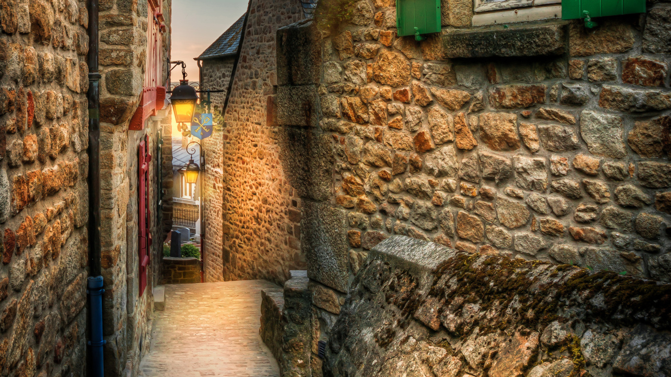 Mur de Briques Brunes Avec Porte Verte. Wallpaper in 1366x768 Resolution