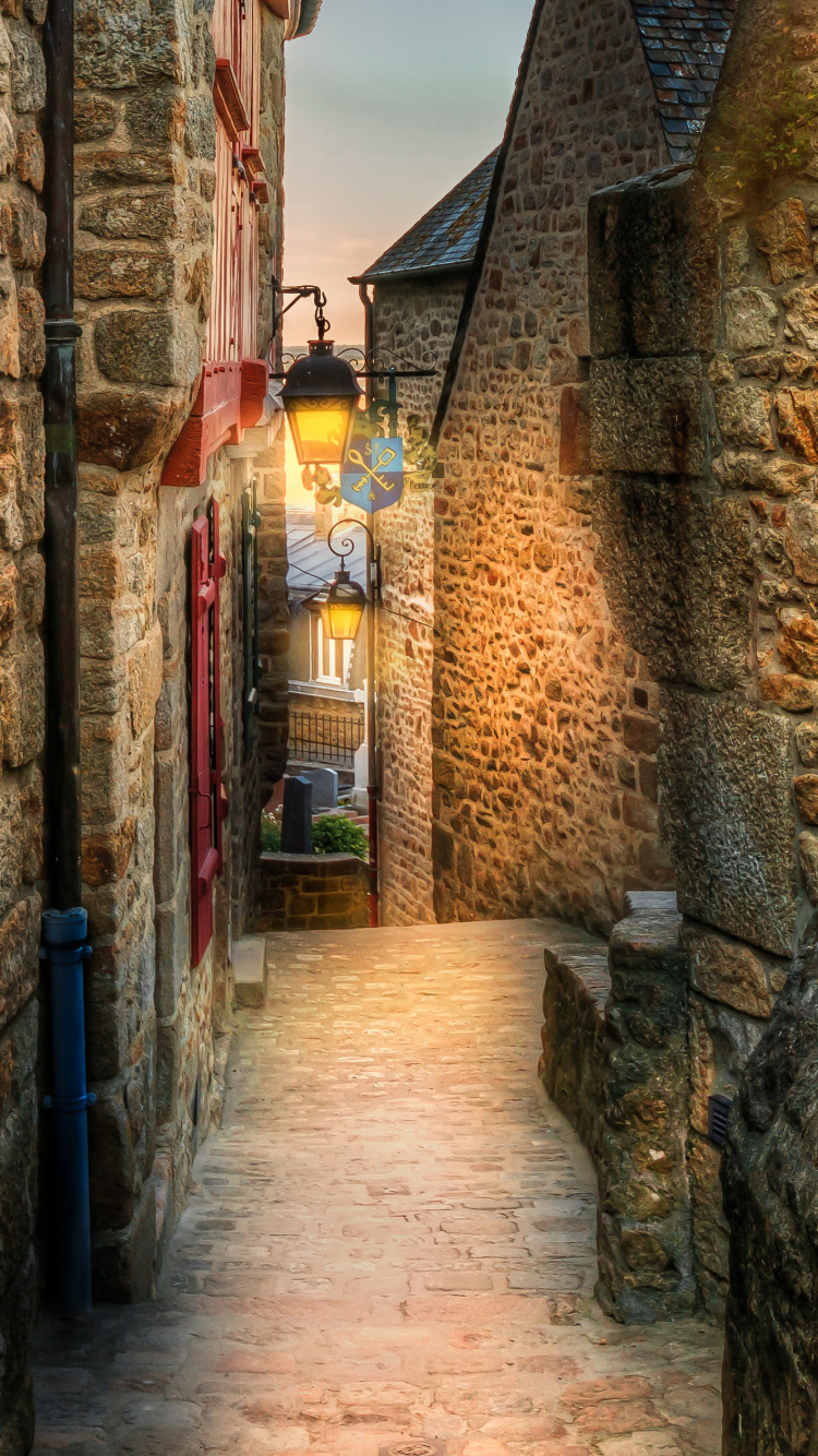 Mur de Briques Brunes Avec Porte Verte. Wallpaper in 750x1334 Resolution