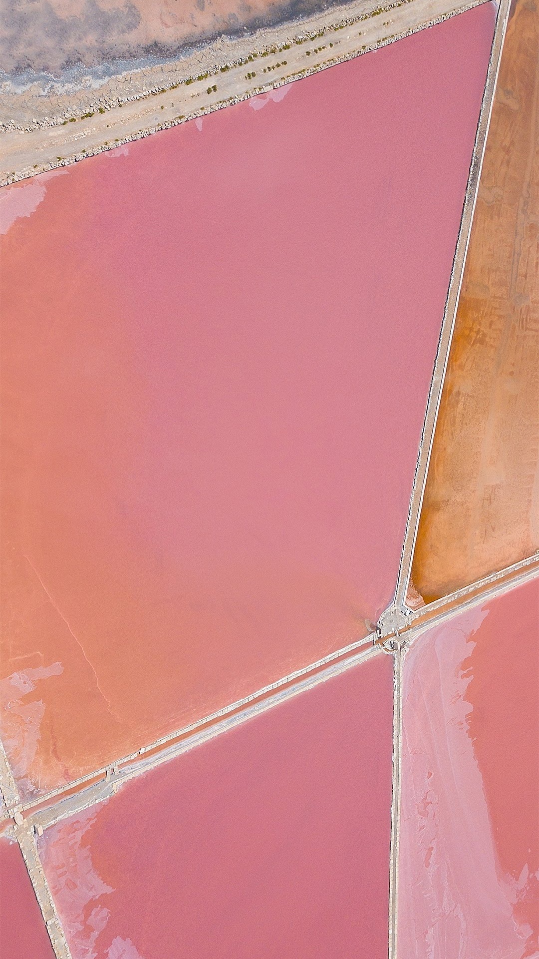 华硕, Asus ZenFone, Asus ZenFone 6, 华硕ZenFone 5, 智能手机 壁纸 1080x1920 允许