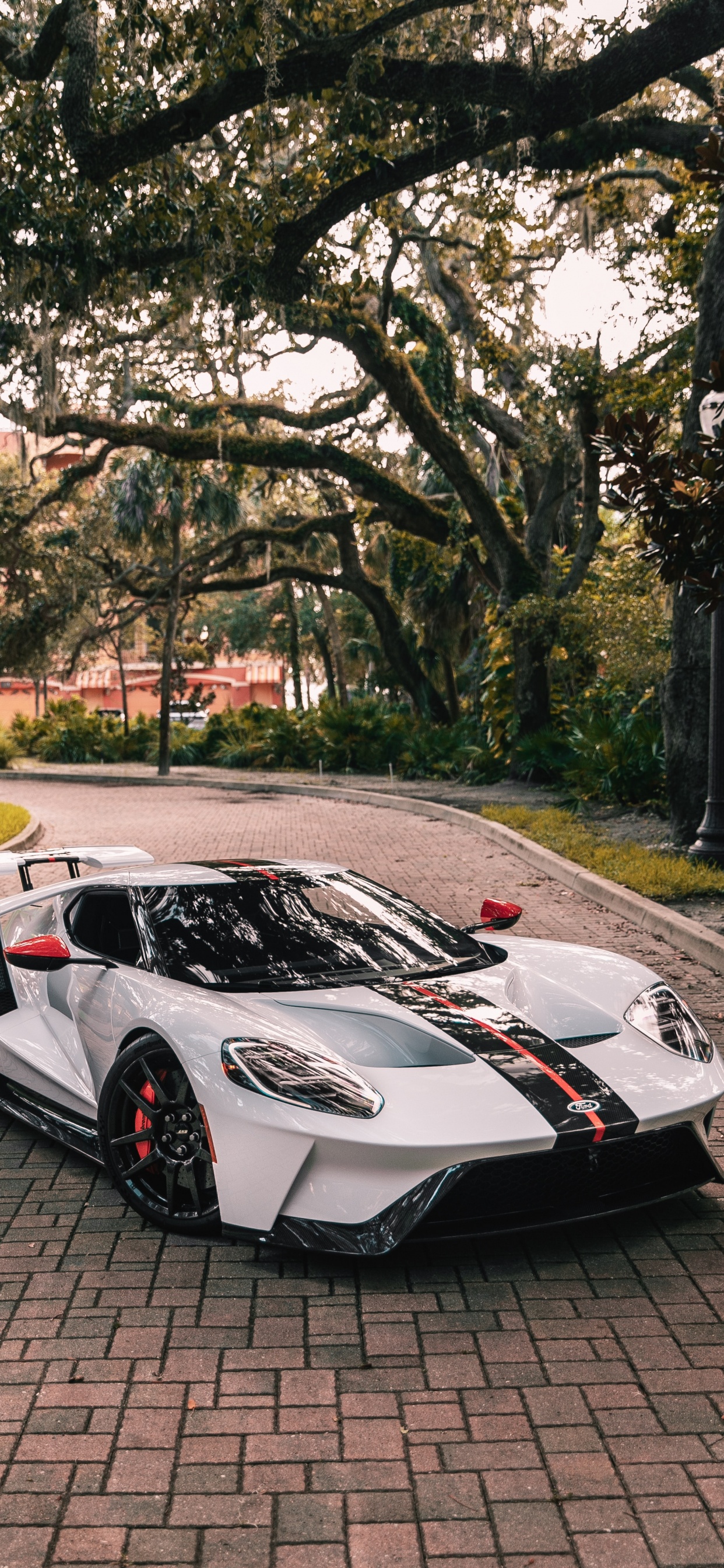 Ford Gt, Ford, Sports Car, Cars, Ford Motor Company. Wallpaper in 1242x2688 Resolution