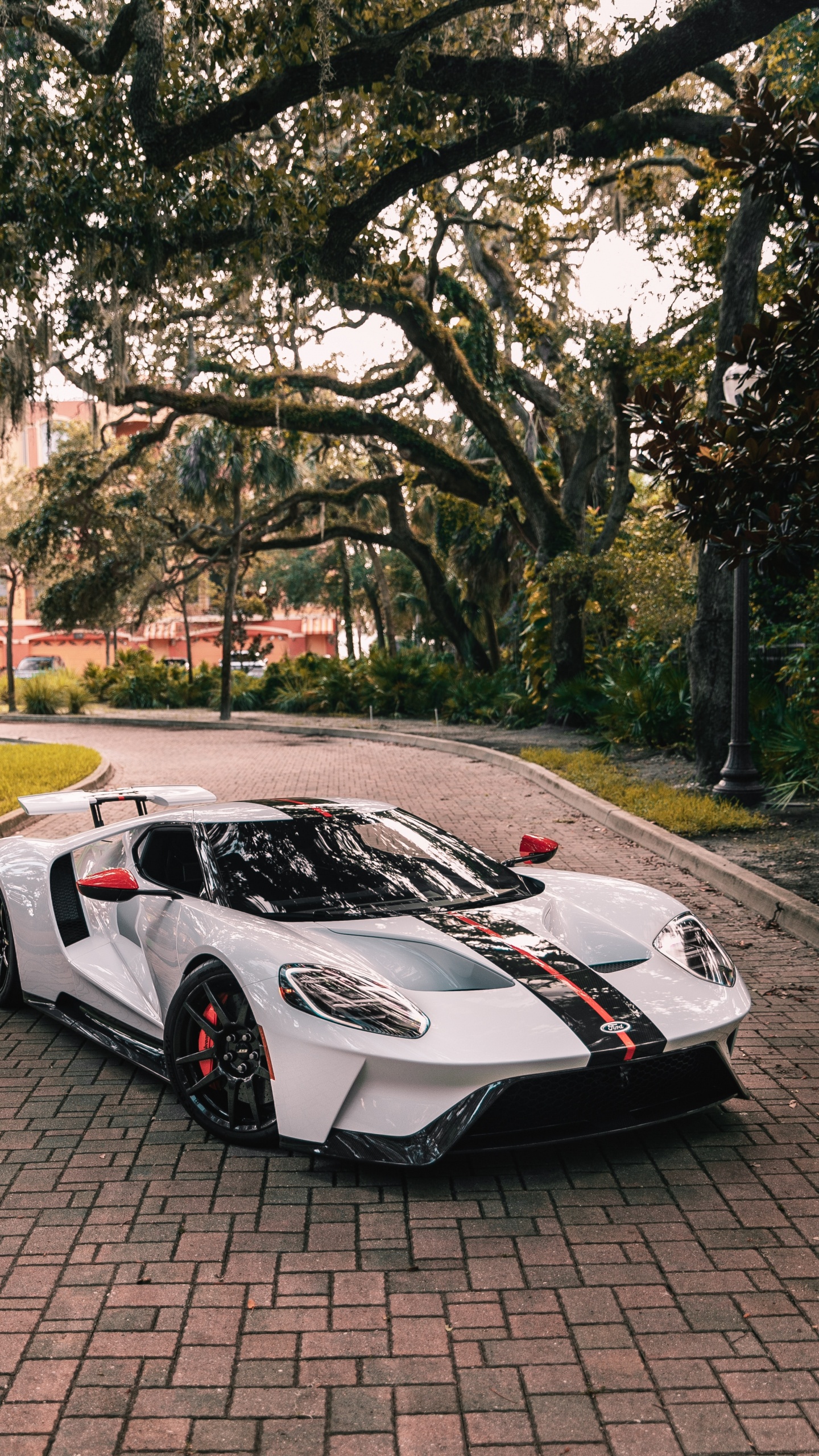 Ford Gt, Ford, Sports Car, Cars, Ford Motor Company. Wallpaper in 1440x2560 Resolution