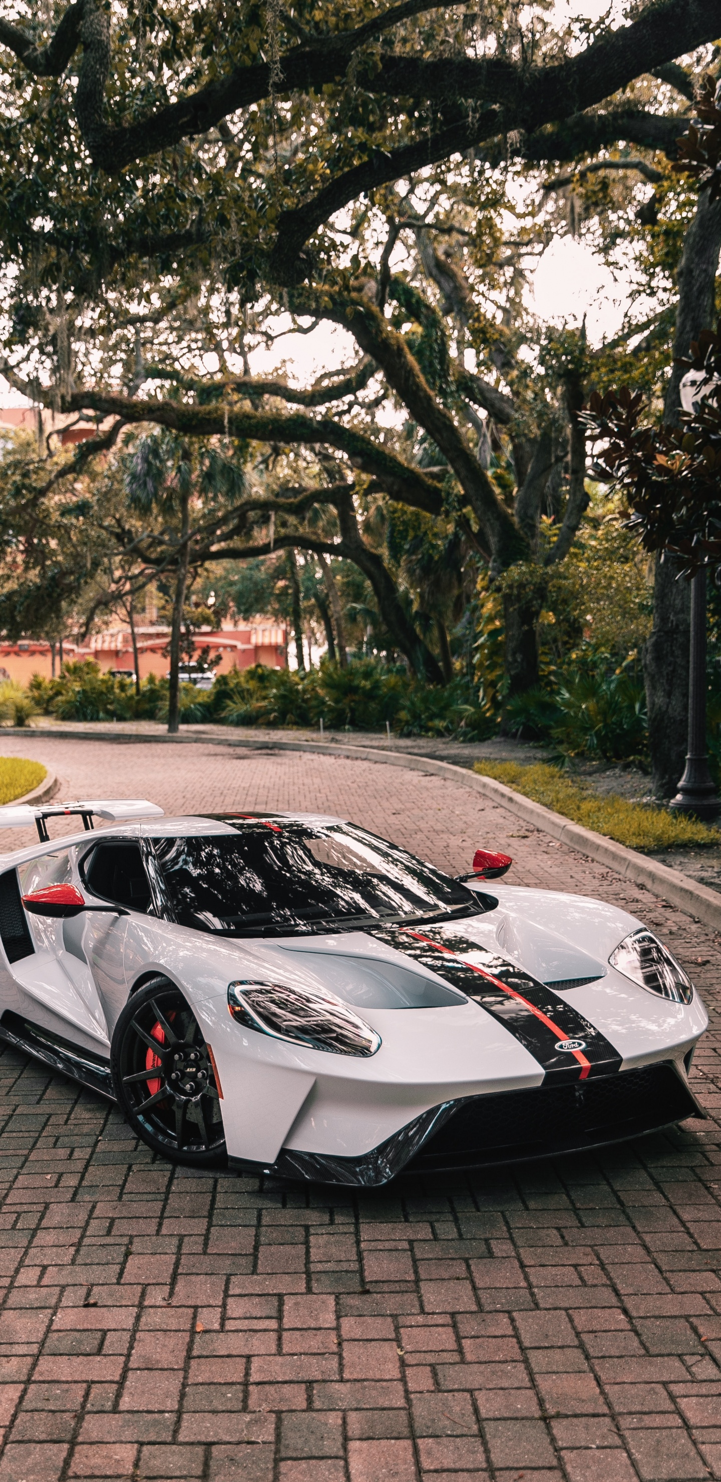 Ford Gt, Ford, Sportwagen, Car, Ford Motor Company. Wallpaper in 1440x2960 Resolution