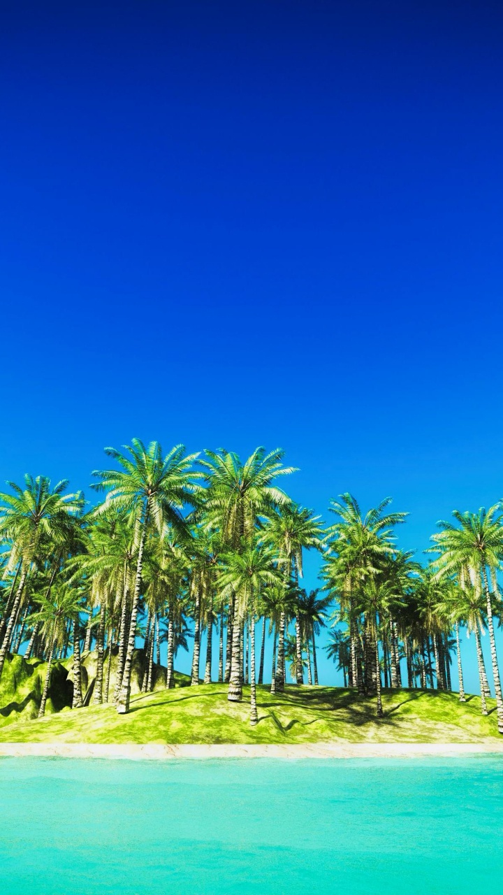 Natur, Insel, Wasser, Blau, Strand. Wallpaper in 720x1280 Resolution