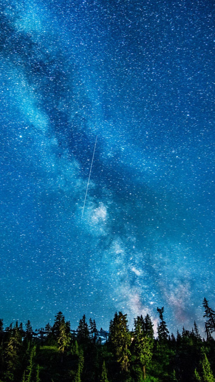 Árboles Verdes Bajo un Cielo Azul Durante la Noche. Wallpaper in 720x1280 Resolution