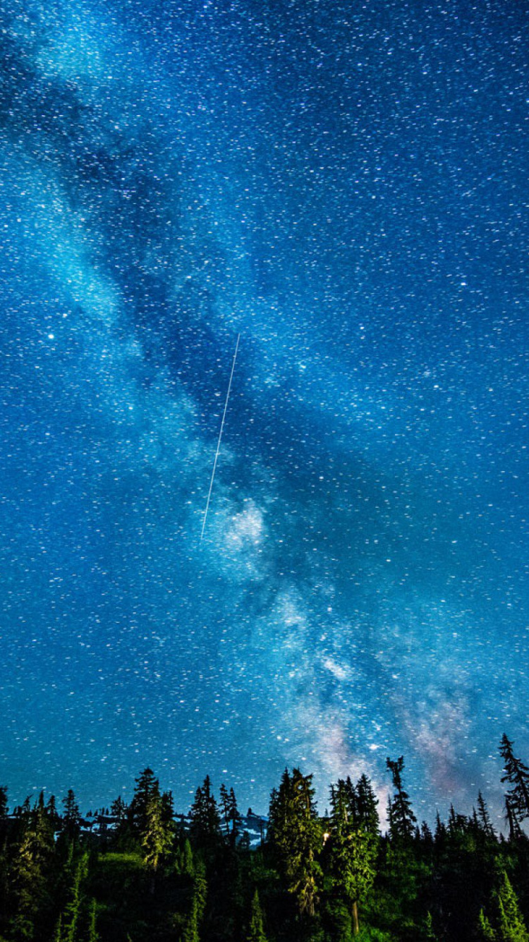 Arbres Verts Sous Ciel Bleu Pendant la Nuit. Wallpaper in 750x1334 Resolution