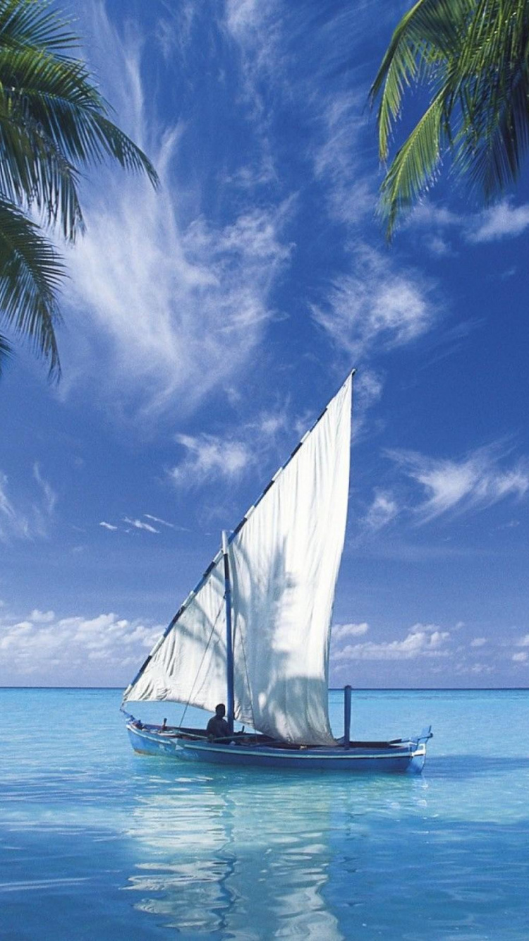 Voilier Blanc Sur Mer Bleue Sous Ciel Bleu Pendant la Journée. Wallpaper in 750x1334 Resolution