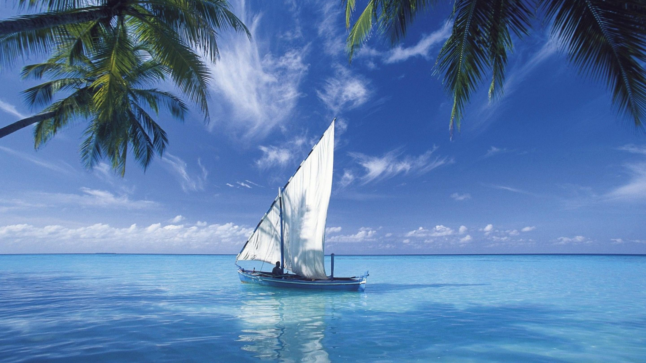 White Sail Boat on Blue Sea Under Blue Sky During Daytime. Wallpaper in 2560x1440 Resolution