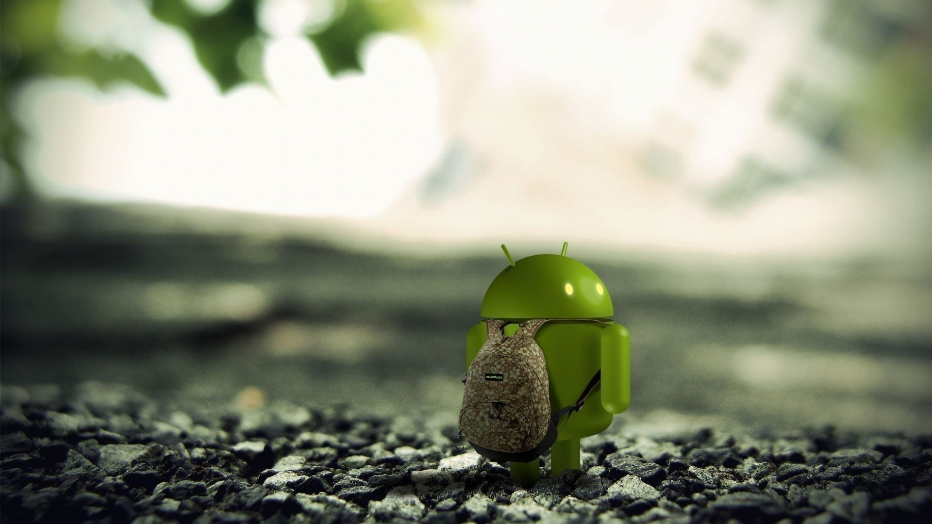 Green Frog Figurine on Gray Rock. Wallpaper in 1920x1080 Resolution