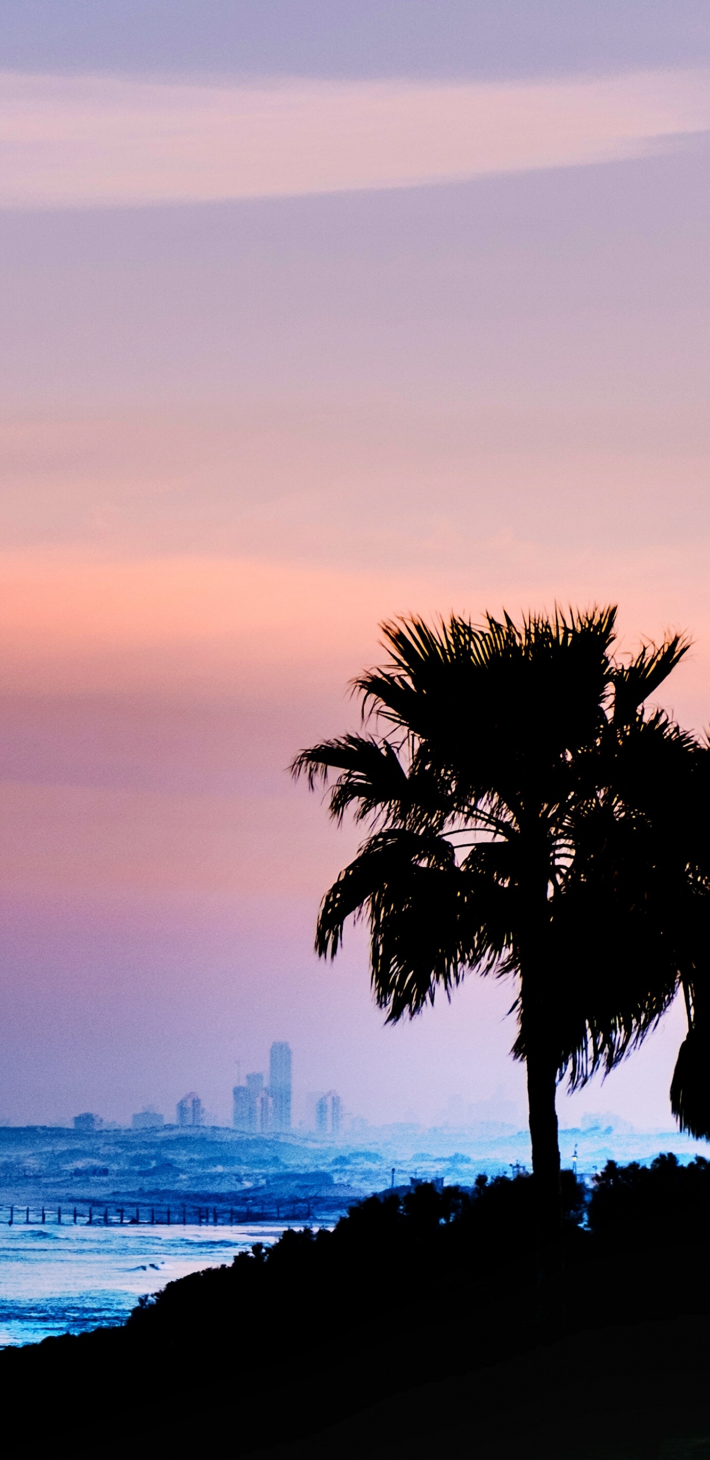 Horizont, Blau, Natur, Meer, Baum. Wallpaper in 1440x2960 Resolution