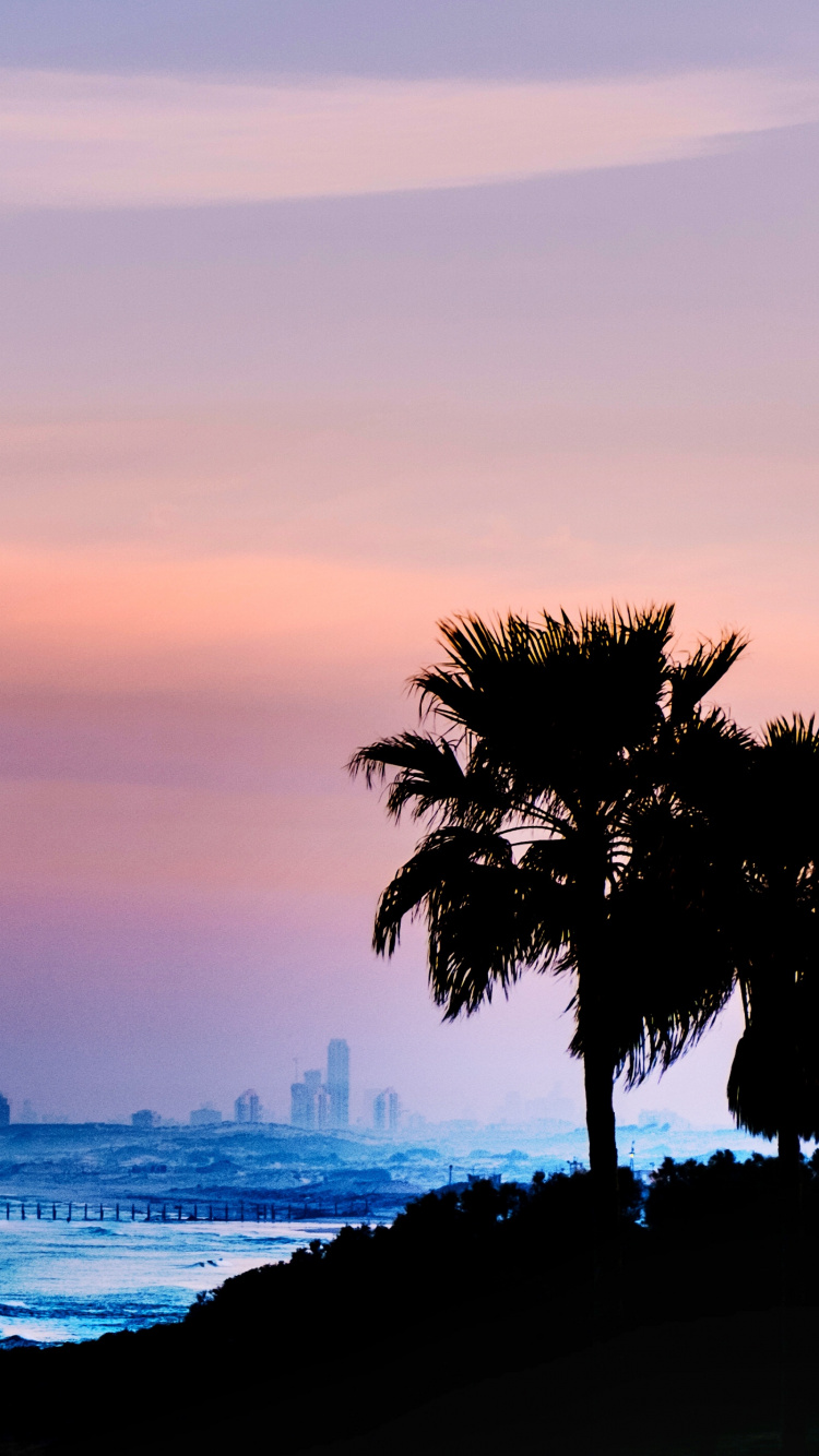 Horizon, Blue, Nature, Sea, Tree. Wallpaper in 750x1334 Resolution
