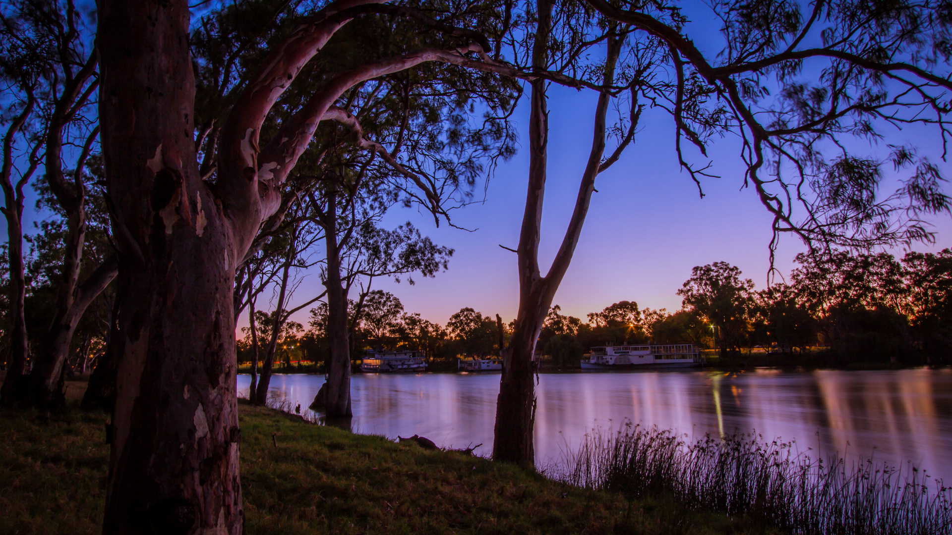 Brown Trees Near Lake During Daytime. Wallpaper in 1920x1080 Resolution