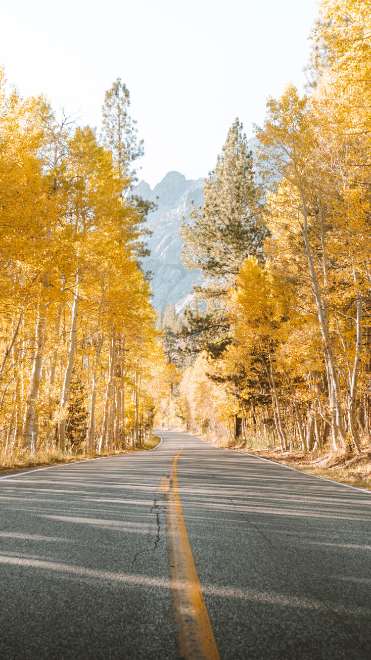 Carretera, Paisaje Natural, Naturaleza, Asfalto, Amarillo. Wallpaper in 750x1334 Resolution