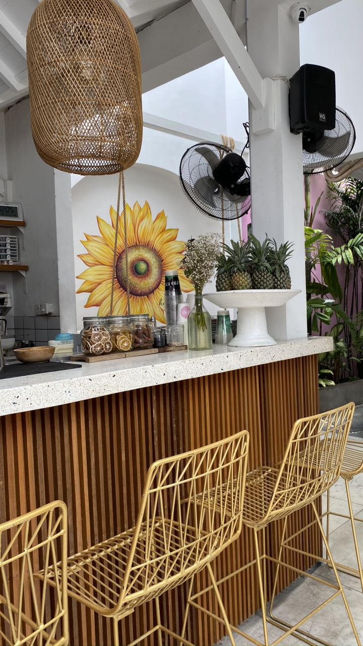 Dining Room, Lighting, Interior Design, Ceiling, Flowerpot. Wallpaper in 720x1280 Resolution