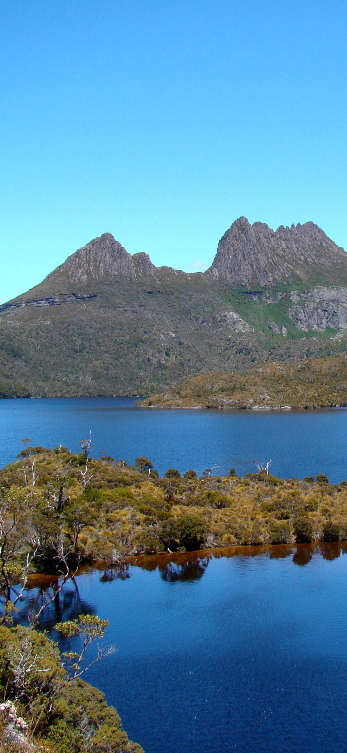 Árboles Verdes Cerca Del Lago Bajo un Cielo Azul Durante el Día. Wallpaper in 1125x2436 Resolution