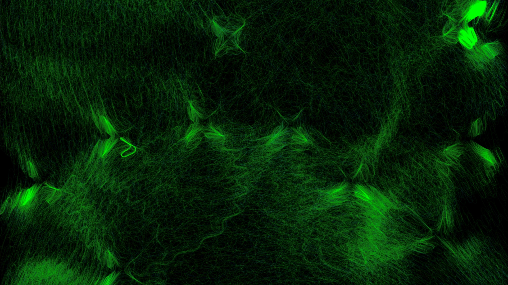 Peinture Abstraite Verte et Noire. Wallpaper in 1920x1080 Resolution