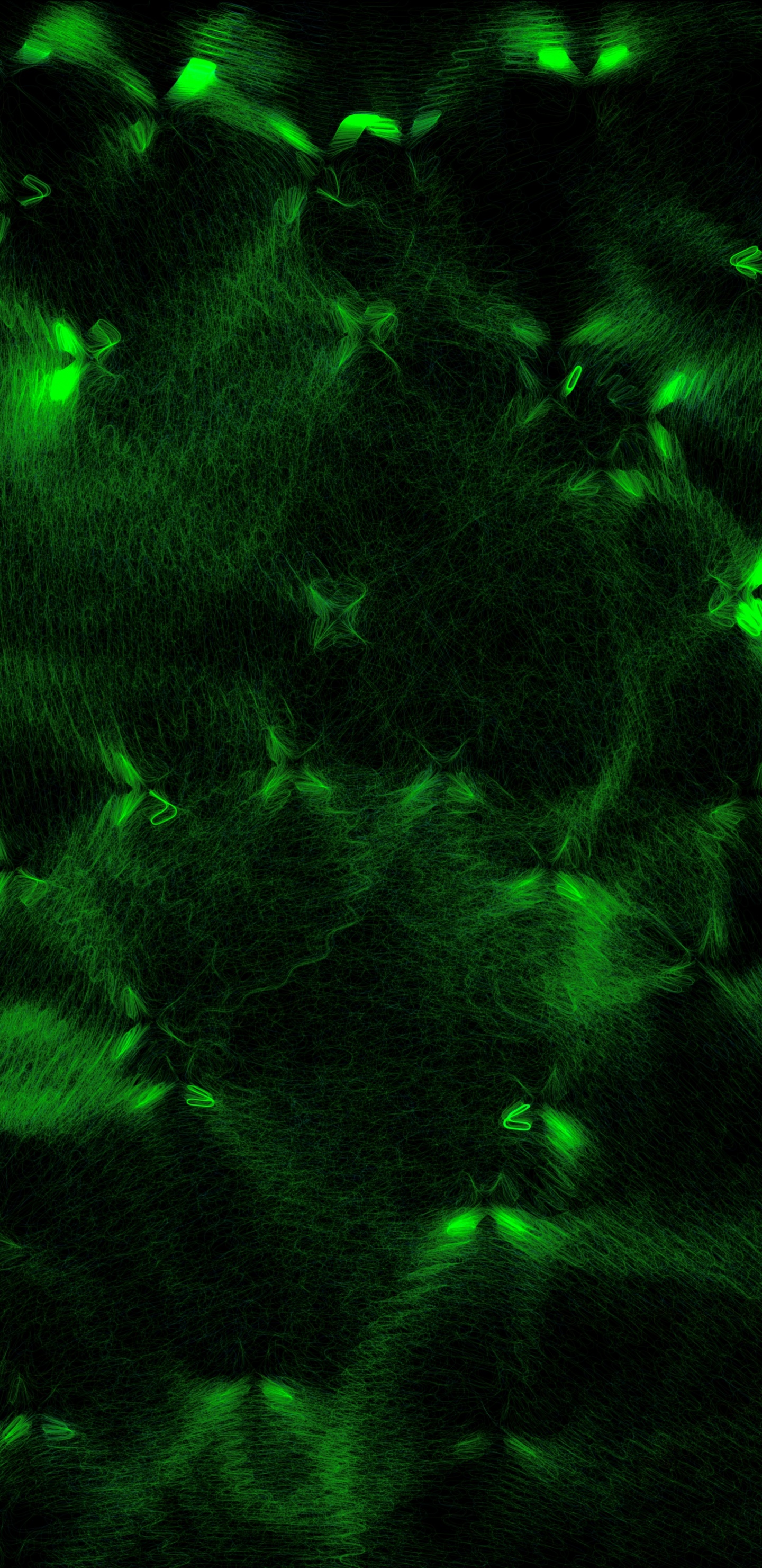 Green and Black Abstract Painting. Wallpaper in 1440x2960 Resolution