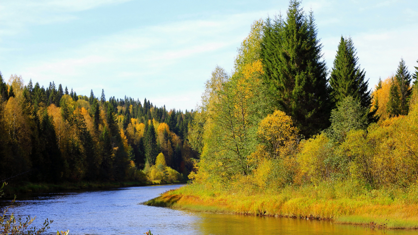 Grüne Bäume Neben Dem Fluss Unter Blauem Himmel Tagsüber. Wallpaper in 1366x768 Resolution