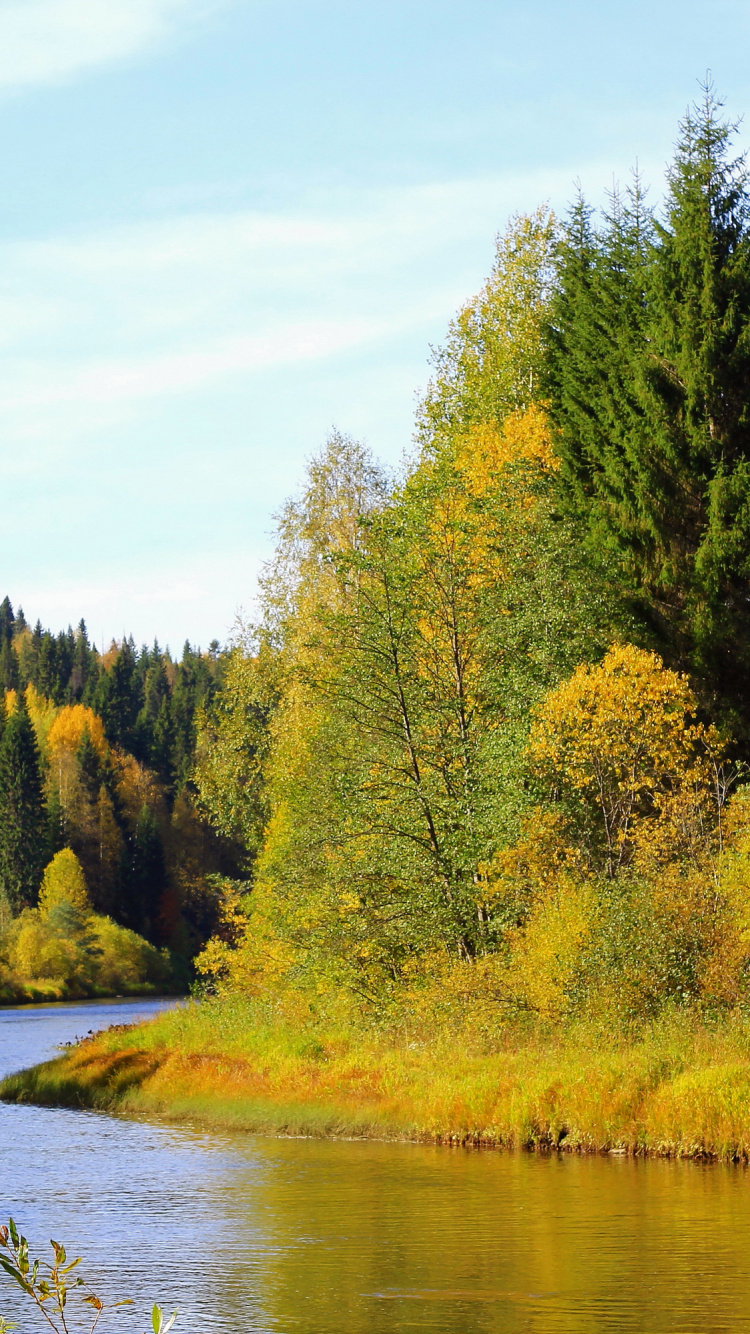 Grüne Bäume Neben Dem Fluss Unter Blauem Himmel Tagsüber. Wallpaper in 750x1334 Resolution